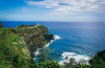 Kauai Island Private Guided Tour-Waimea Canyon from Princeville 