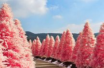Pocheon UNESCO Geopark, Pink Herb Island, Art Valley from Seoul