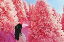 Pocheon UNESCO Geopark, Pink Herb Island, Art Valley from Seoul