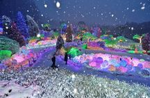 Day Trip to Nami Island with Rail bike and The Garden of Morning Calm