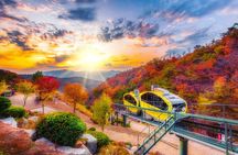 Pocheon Art Valley & Fruit Picking Day Tour from Seoul(EG Tour)