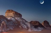 White Desert Awaits Ultimate Safari Adventure