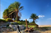 White Desert Awaits Ultimate Safari Adventure