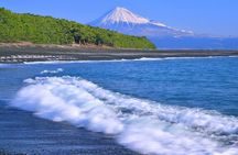 Step-Free easy going tour from Shimizu Port / Small bus