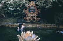 Purification Ceremony, Kehen Temple and Goa Raja Waterfall Tour