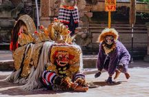 Private Ubud Day Tour Waterfalls Sacred Monkeys and Rice Fields