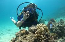 Tauchen für Anfänger in Hurghada (ohne Zertifikat)