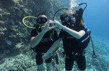 Tauchen für Anfänger in Hurghada (ohne Zertifikat)