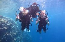 Tauchen für Anfänger in Hurghada (ohne Zertifikat)