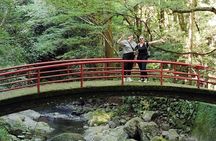 Mt. Inunaki Trekking and Goma Prayer Experience in Osaka 