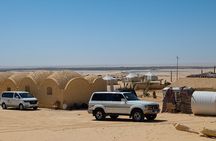 Fayoum Oasis Safari with Valley of Whales & Traditional Lunch