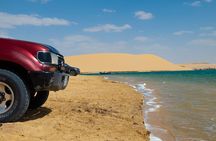 Fayoum Oasis Safari with Valley of Whales & Traditional Lunch