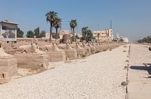Private day Tour in East & WEST Luxor