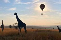 Air Ballooning Safari Experience from Johannesburg and Pretoria