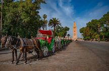 Marrakech Day Trip: Camel Ride, Medina & Palaces from Casablanca