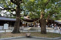 Tokyo Must Visit Spots with English Speaking Guide
