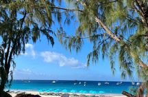 Monkey Feeding And Beach Day In Barbados