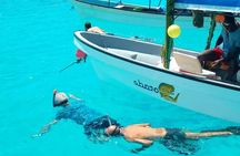 Mnemba Island Snorkeling and Swimming with Dolphin