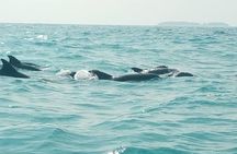 Mnemba Island Snorkeling and Swimming with Dolphin