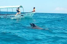 Mnemba Island Snorkeling and Swimming with Dolphin