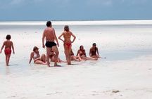 Mnemba Island Snorkeling and Swimming with Dolphin