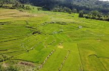 Can-umantad Falls and candijay rice terraces Eco Tour