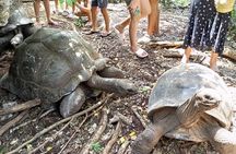 Combined Tour to Prison Island and Nakupenda Sandbank 