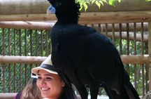 Transportation to the National AVIARY of Colombia