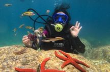 White Island & Ras Mohamed Full day with Lunch in Sharm El Sheikh