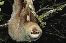 Private Guanacaste Night Tour