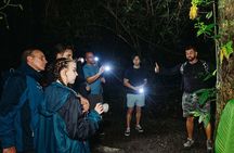 Private Guanacaste Night Tour