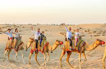 Abu Dhabi Desert Safari with Live Entertainment and Live BBQ