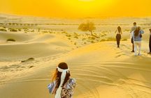 Morning Desert Safari in Abu Dhabi