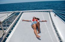 Oolala Cruises in Savala Island