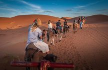  11 Day Private Tour to Imperial City and Desert from Marrakech