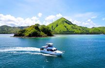 Komodo Island Adventure from Bali (Day Trip)