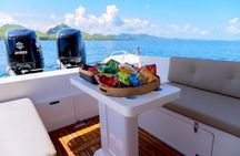 Komodo Island Adventure from Bali (Day Trip)