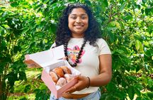 Private Oahu Island Adventure Customizable Tours 