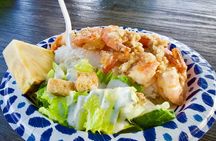 Private Oahu Island Adventure Customizable Tours 