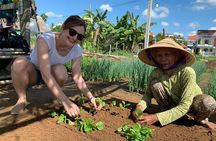 Hoi An Countryside Private Tour - Highlights and Hidden Gems