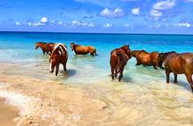 Dunn's River, Horseback Ride and Bamboo Rafting from Ocho Rios