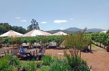 Wine Tour Casas del Bosque+Bodegas RE Vineyards Casablanca Valley