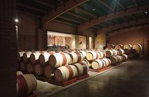 Wine Tour Casas del Bosque+Bodegas RE Vineyards Casablanca Valley