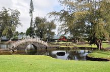 Hilo Shore Excursion: Visit Volcano, Waterfall, Beach with Lunch 