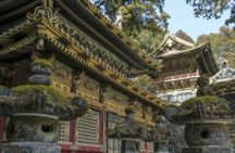 Nikko Private Custom Tour with Local Guide