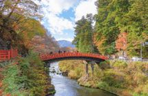 Nikko Private Custom Tour with Local Guide