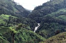 Private One Week Kerala Tour