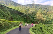 Private One Week Kerala Tour