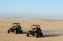 Exciting Buggy Adventure in Palmeraie with Transfers - Marrakesh