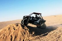 Exciting Buggy Adventure in Palmeraie with Transfers - Marrakesh